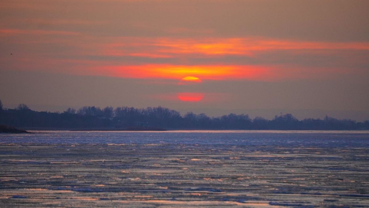 Mindenki meglepődött, amikor ez a ritka kisállat kitört a jeges Balatonból + videó