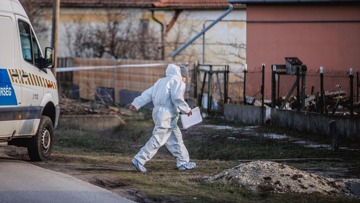 Tószegi kettős gyilkosság: baltával ölhetett a hidegvérű elkövető, lehet, hogy már el is kapták