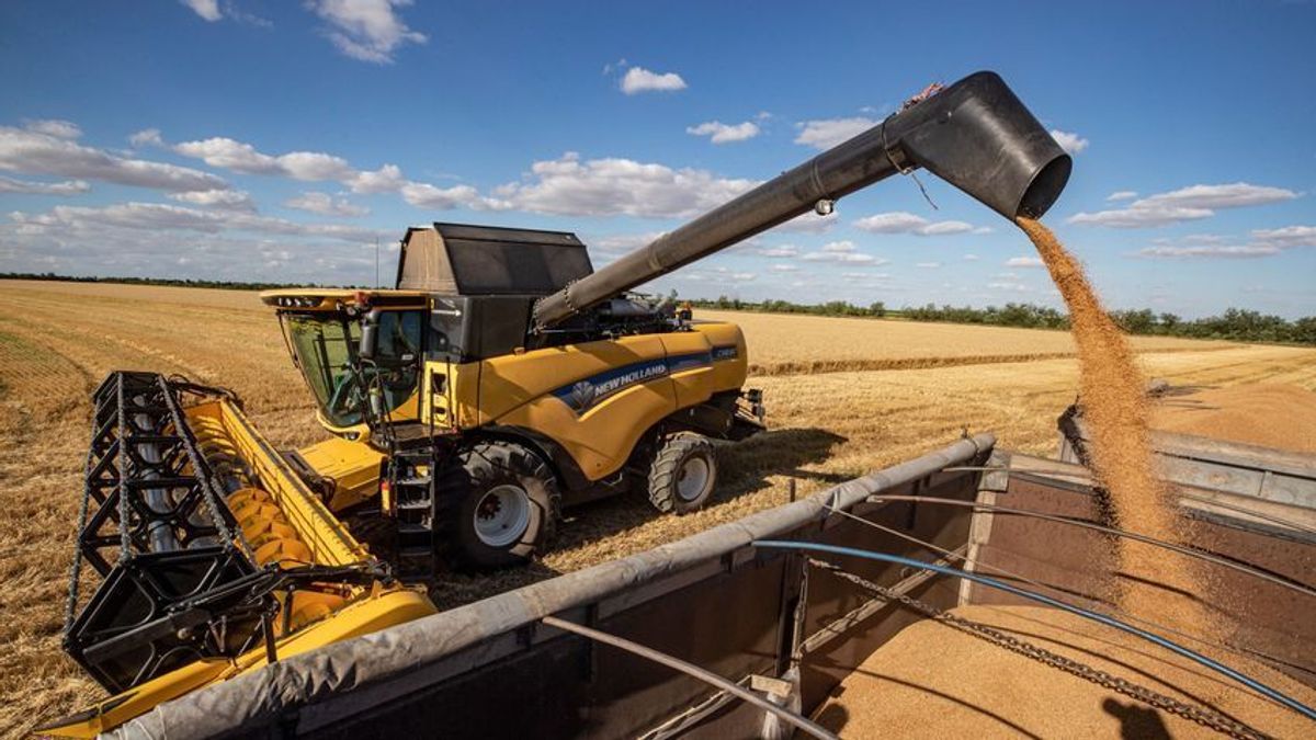 Brüsszel veszélybe sodorná a gazdákat és az embereket az ukrán gabonával
