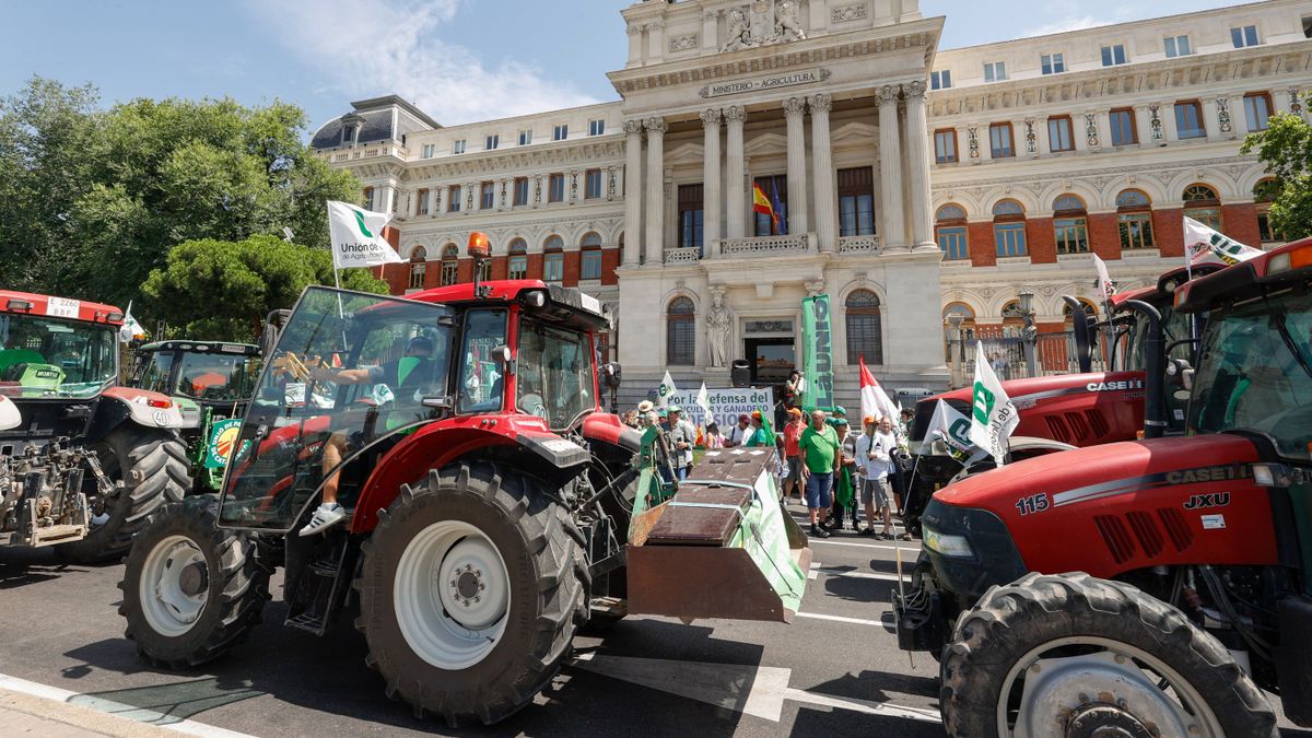 Megmaradásukért tüntetnek Európában a gazdák + videók