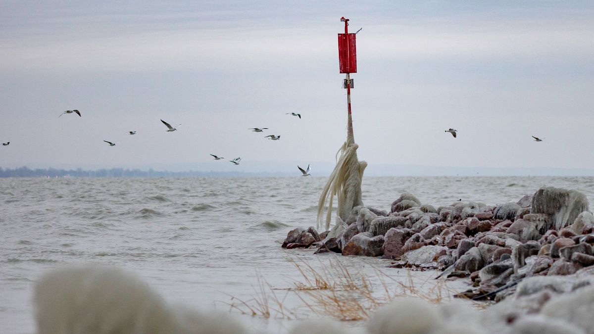 Ritkán van ilyen gond a Balatonnál, de ezúttal még nem sikerült megoldani