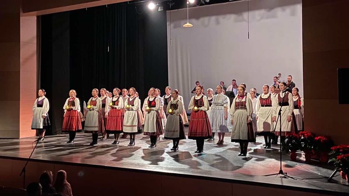 Megtartották a XII. Országos Ifjúsági Szólótáncversenyt