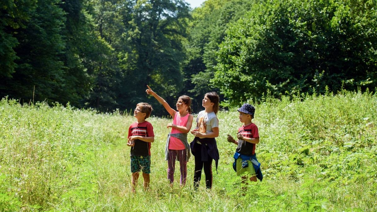Új környezetismereti program indul az iskolásoknak, elstartolt a jelentkezés