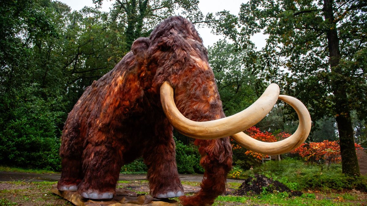 A gyapjas mamut visszatér