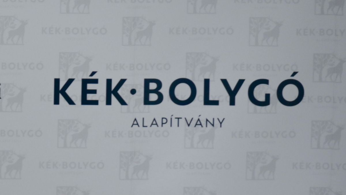 Tanári ösztöndíjprogramot hirdet a Kék Bolygó Klímavédelmi Alapítvány