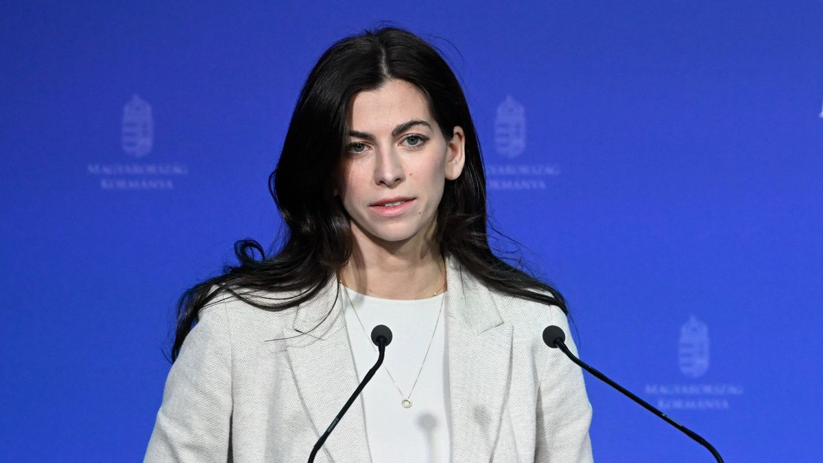 Spokeswoman: Government To Submit New Child Protection Legislative Package