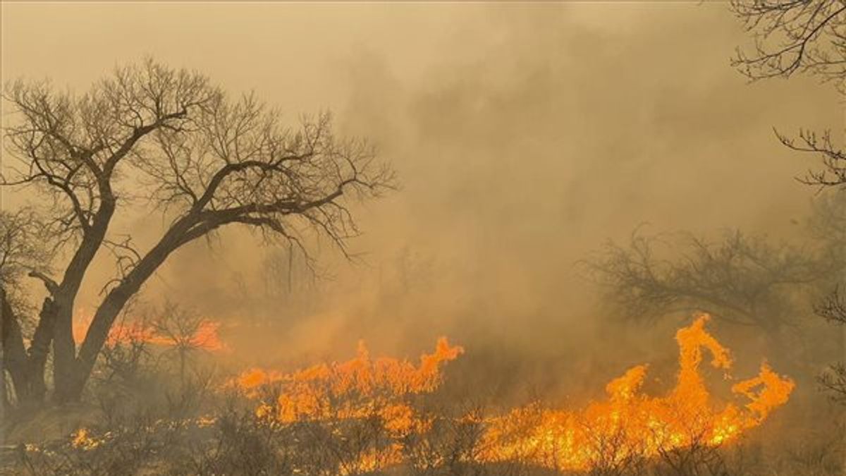Tovább küzdenek Texasban a pusztító erdőtűzzel + videók