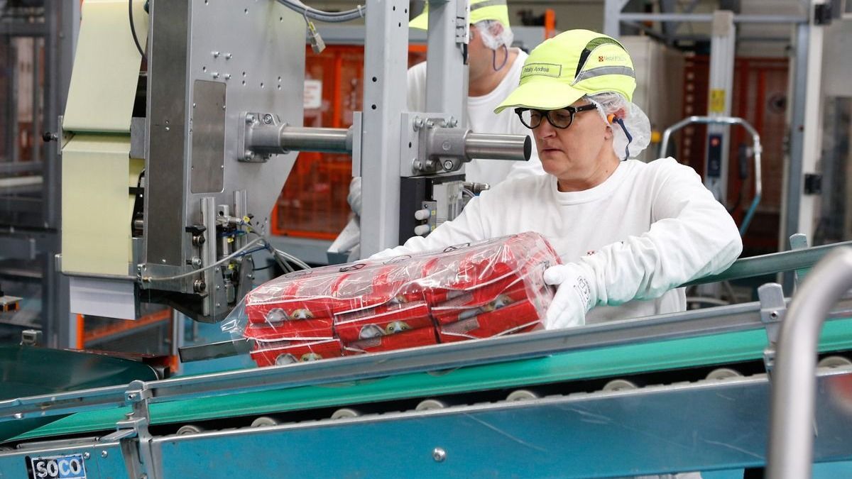 Itt az újabb beruházás, bővít a Nestlé + videó