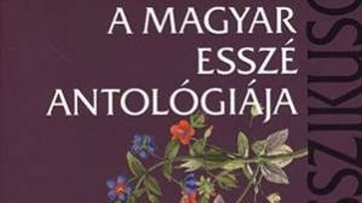 Az égi valóság felé