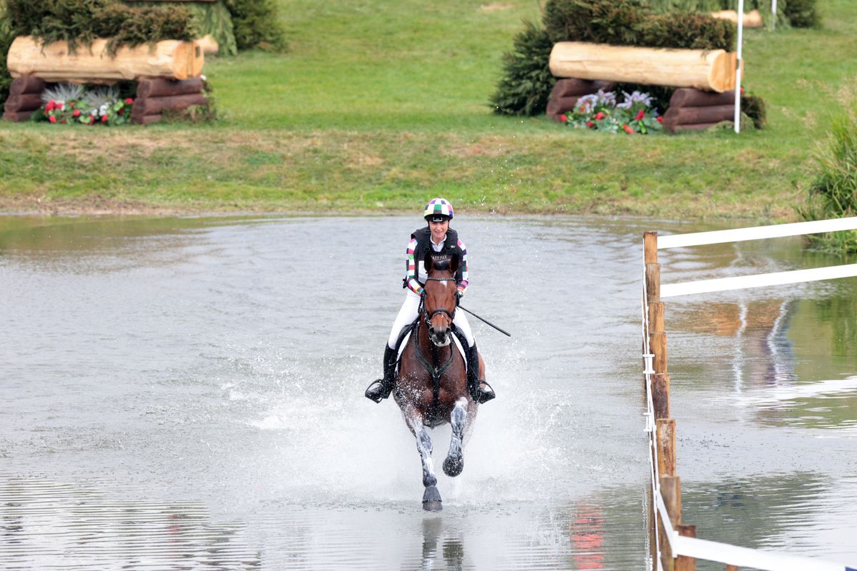 Blenheim Palace International Horse Trials
lugas
körhintaló
