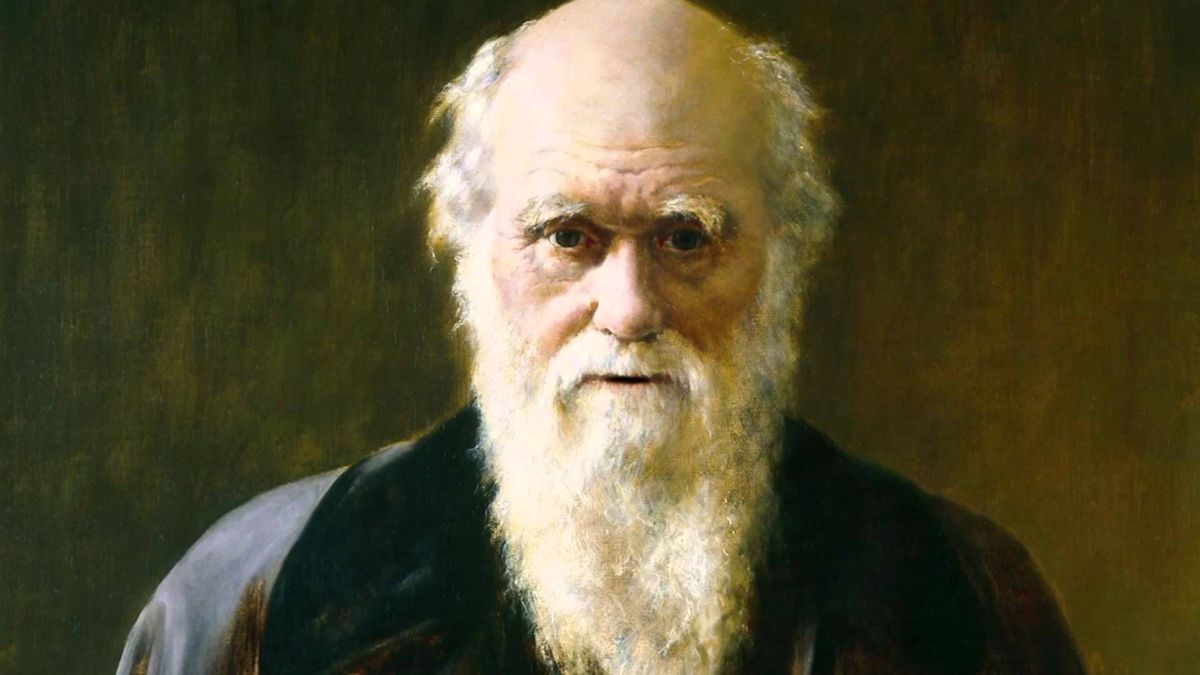Charles Darwin teljes könyvtárát rekonstruálták