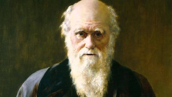 Charles Darwin teljes könyvtárát rekonstruálták
