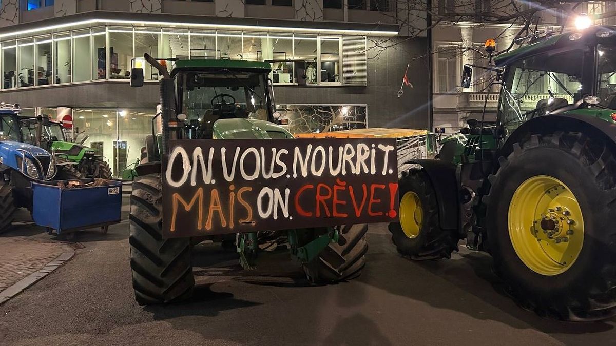 Nagy István: Európa élelmiszer-önellátása forog veszélyben