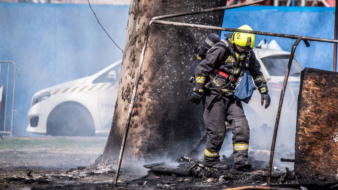 Borítókép: A ligetvédők által felgyújtott platánfa.(Forrás: Ligetbudapest.hu)