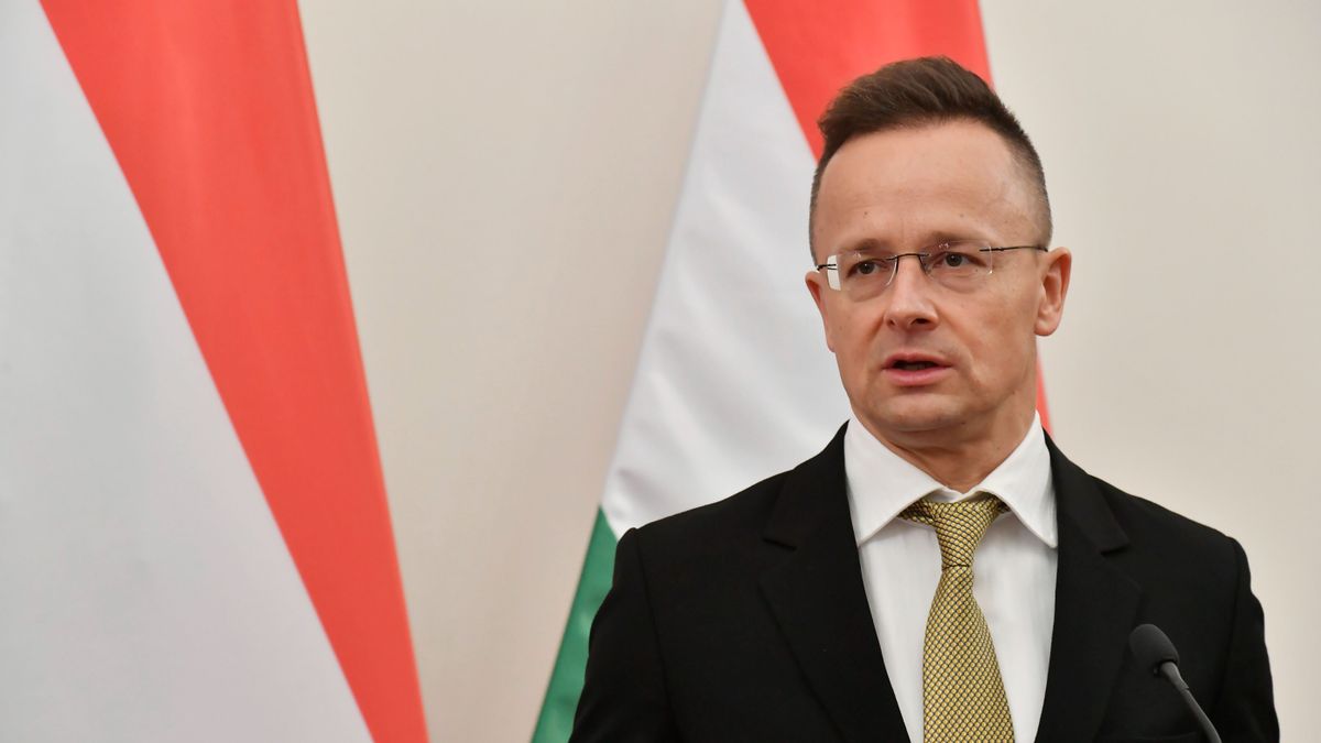 Hungary and Ukraine Governments Consult on Rights of Transcarpathia Hungarians