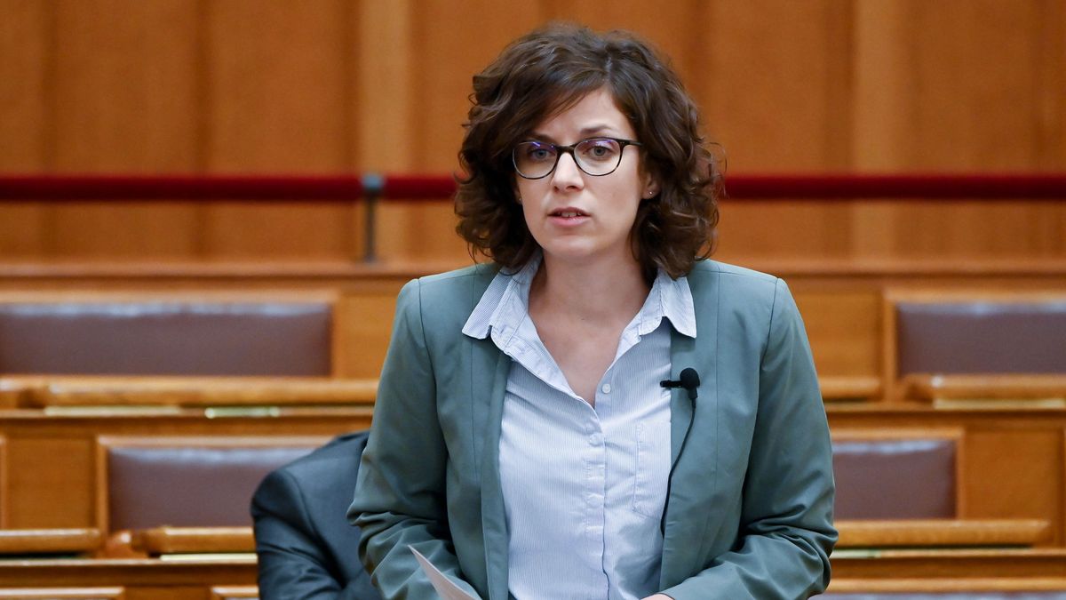 Mélyen hallgat a baloldal az újbudai pedofil ügyről + videó