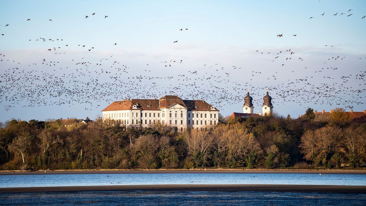 Ahol kisebb a szórás a négyzetméterárakban – Komárom-Esztergom vármegyei ingatlankörkép