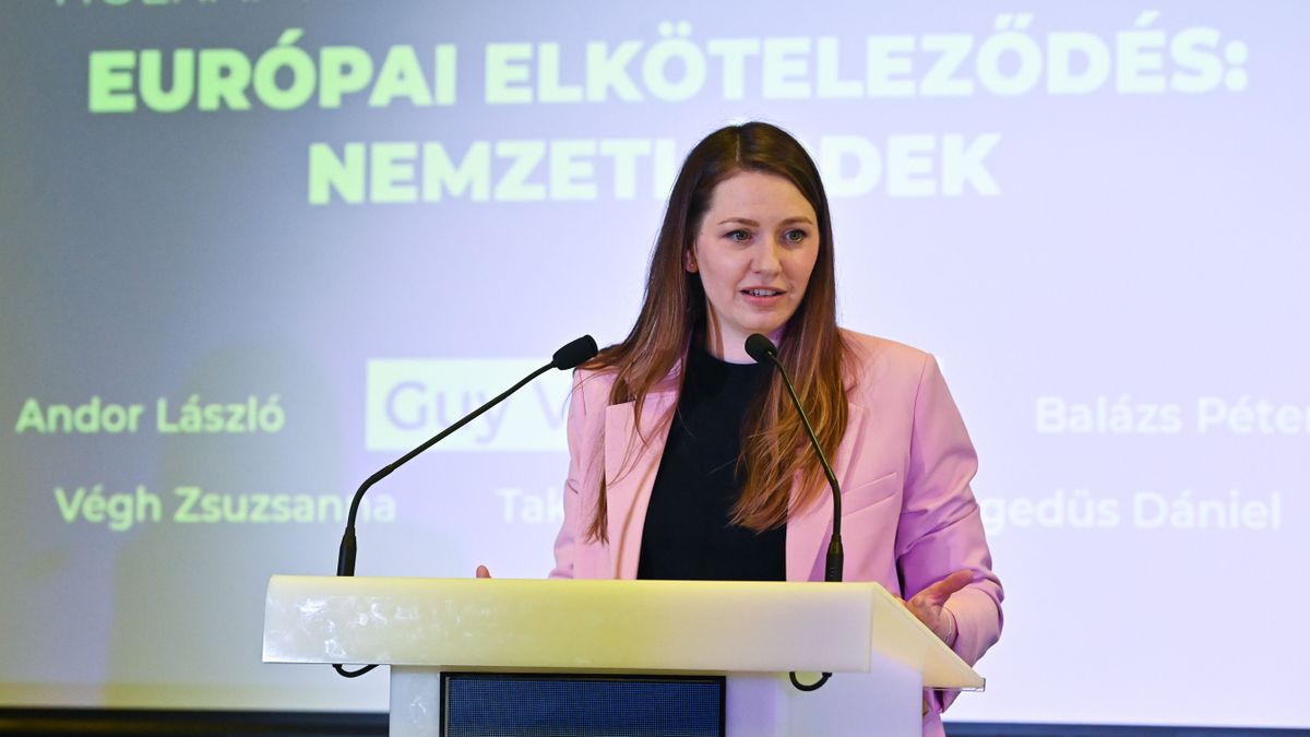 Hebegett-habogott Donáth Anna, amikor a külföldi finanszírozásokról kérdezték az Európai Parlamentben + videó