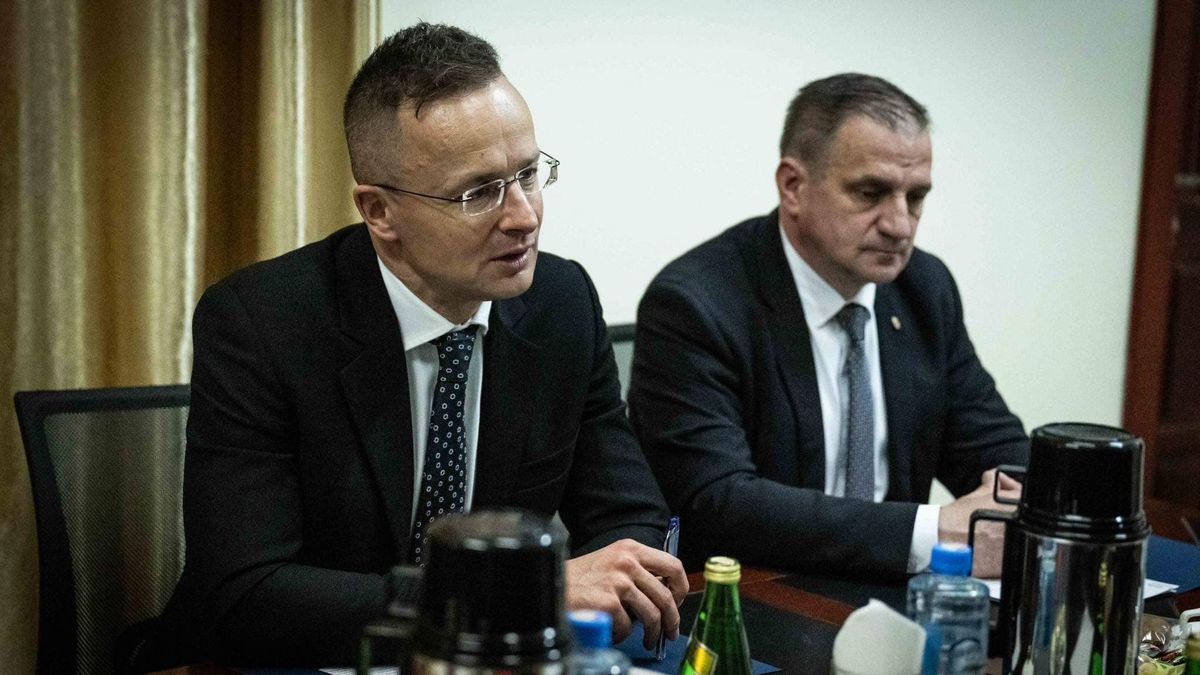 Hungary Helps Ukrainian Grain Reach Africa