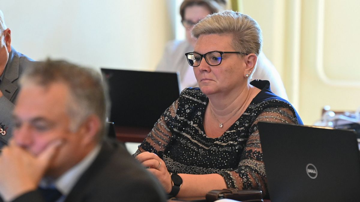 Újra Cserdiné a baloldal jelöltje a XV. kerületben, folytatják a nagy semmit