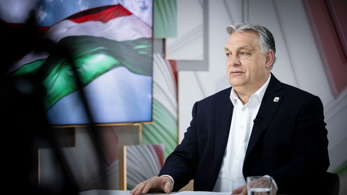 PM Orban Outlines How Ukrainian Grain Is Destroying Hungarian Farmers