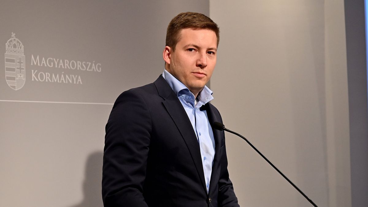 Ő lesz a Fidesz új országgyűlési képviselője