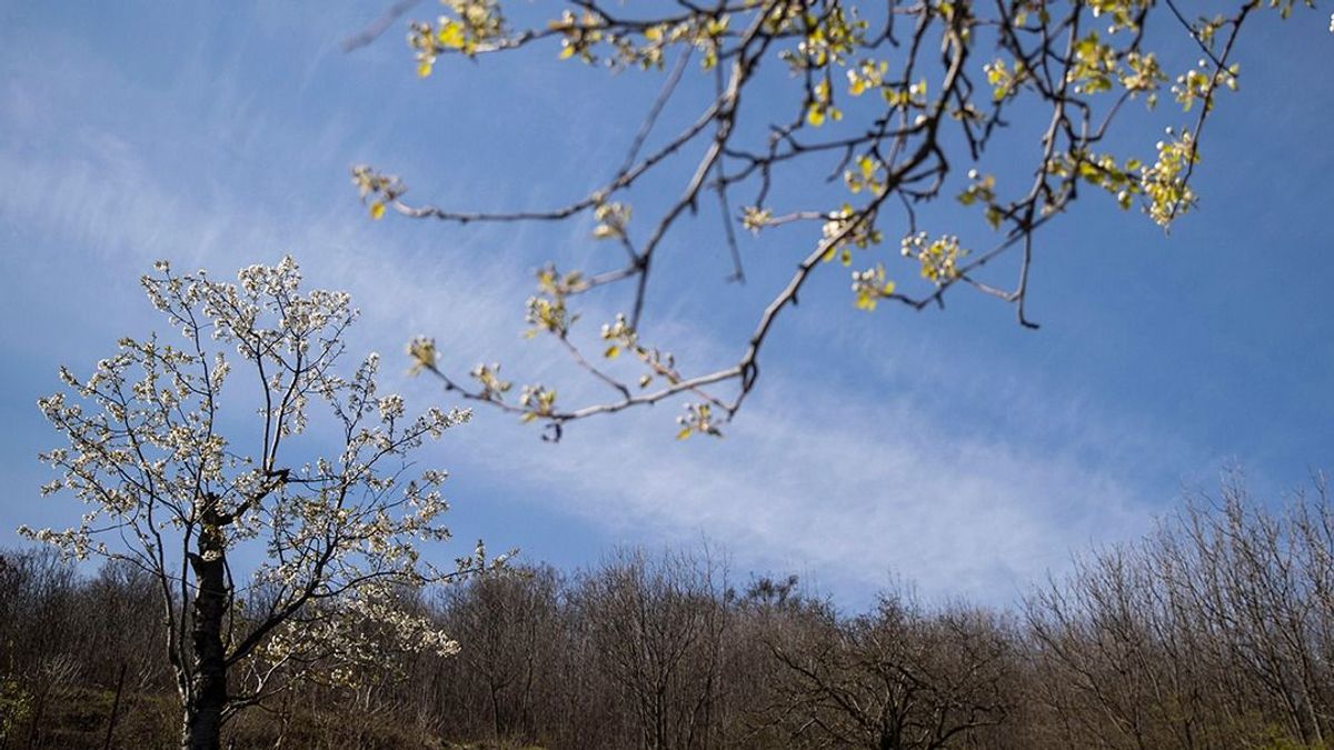 Az idei február volt a legmelegebb az időjárási mérések kezdete óta