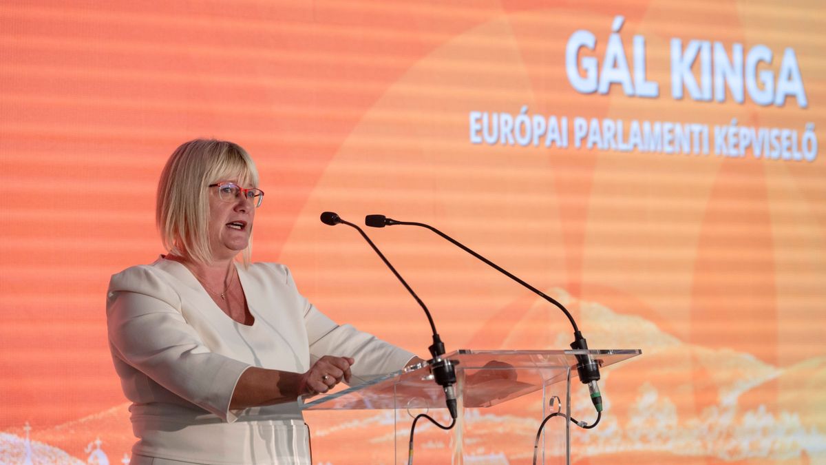 Fidesz MEP: War or Peace at Stake in Election