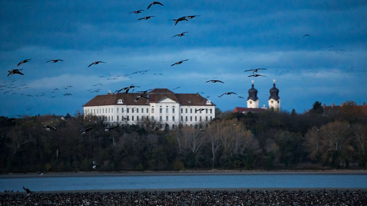 Robbantgatnak Tatán, készítse a lelkét, nehogy szívroham legyen belőle