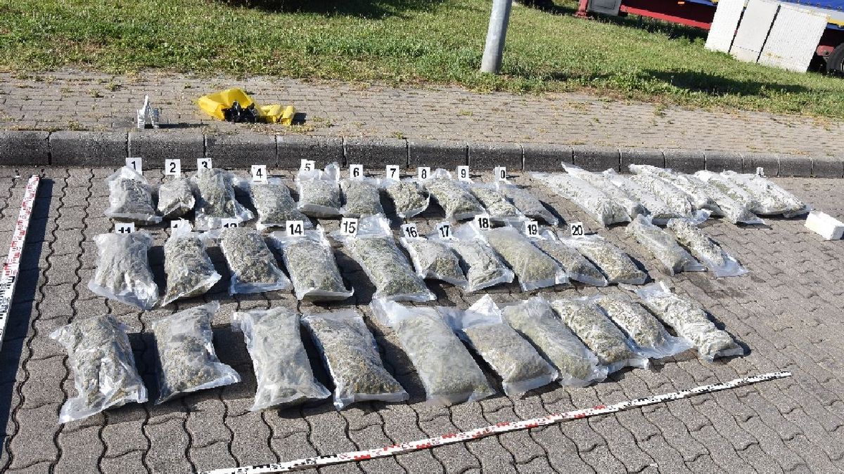 Nemzetközi bűnbandára csaptak le a magyar nyomozók