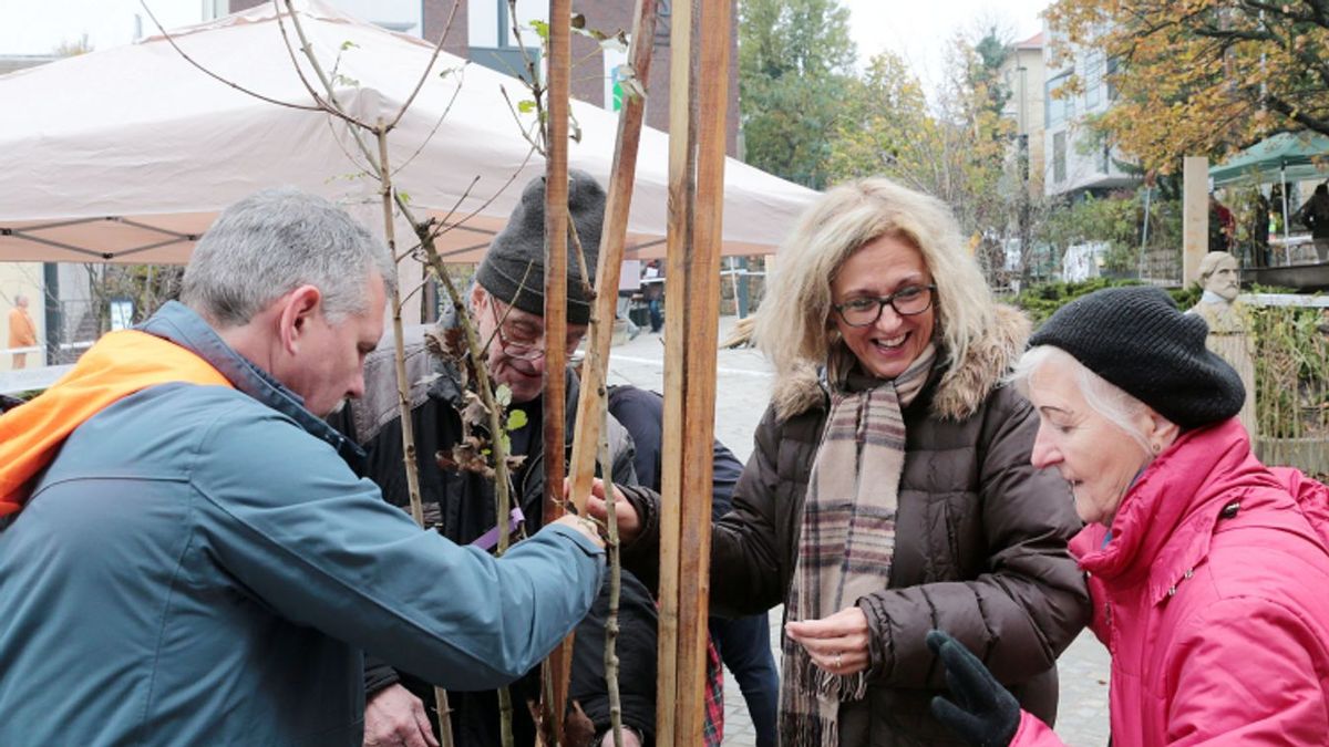 Karácsony nem könnyíti meg a Hegyvidéken élők életét sem