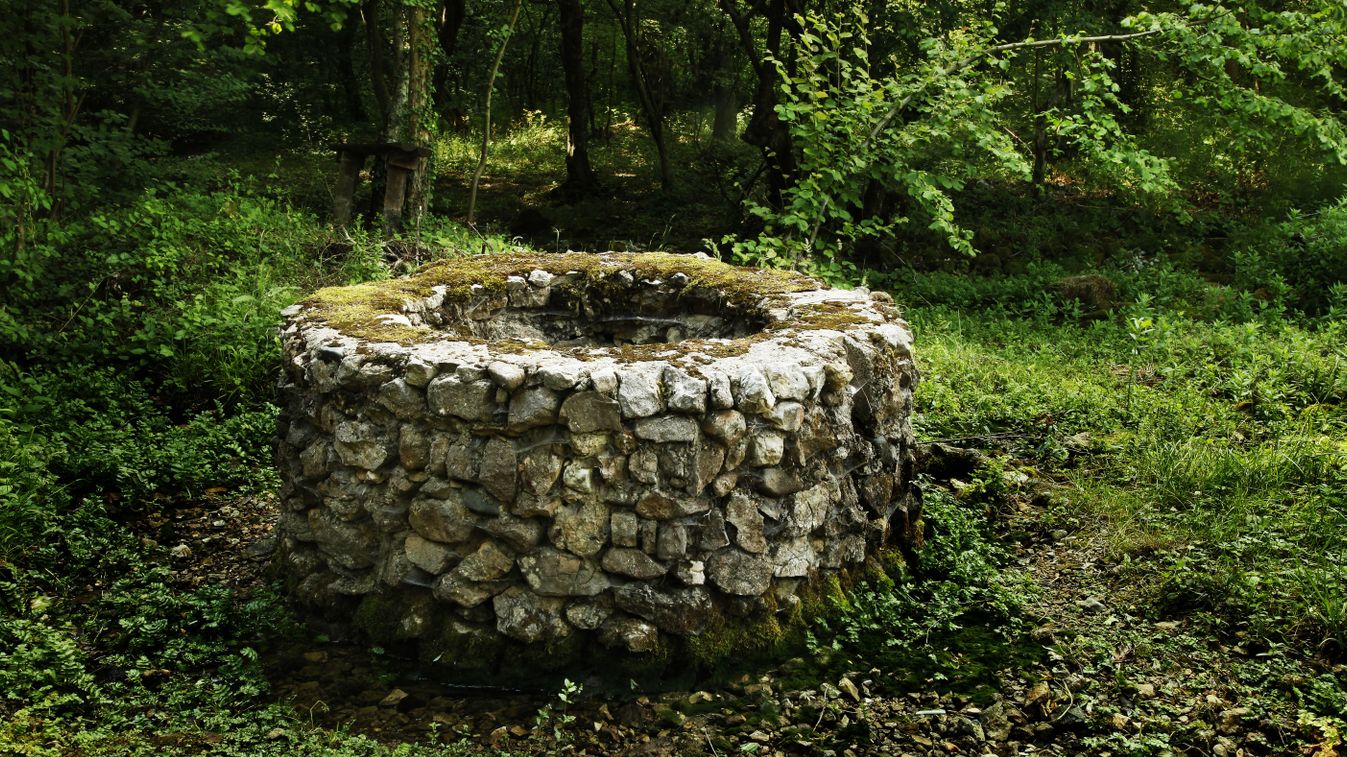 Old,Stone,Draw,Well,In,The,Forest, kút
