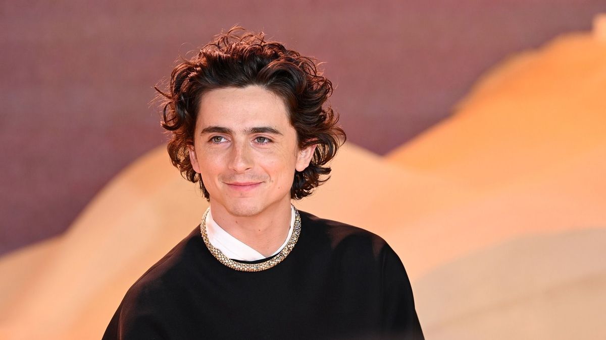 Bob Dylanné vált Timothée Chalamet