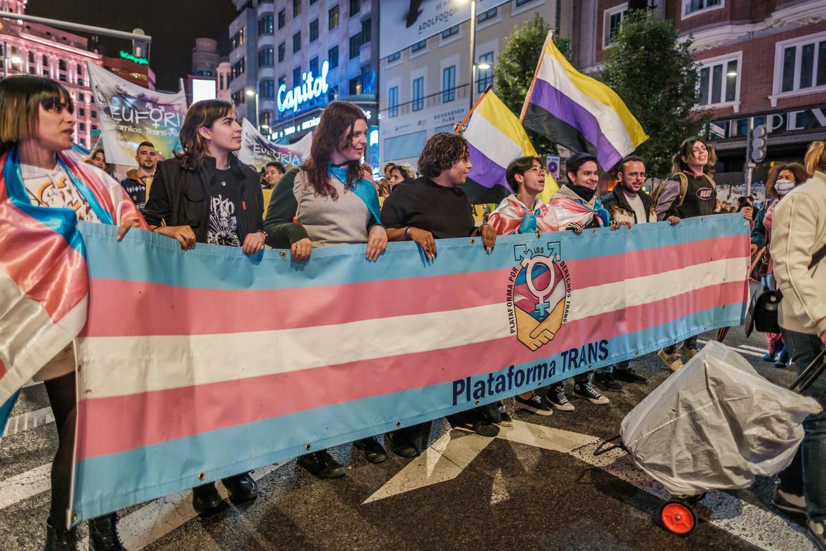 Federacion Plataforma Trans' Against The PSOE's Amendments