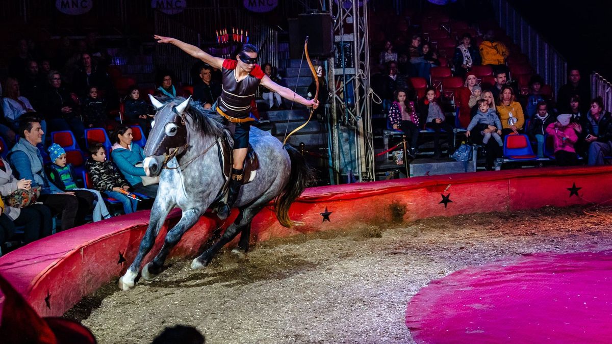 Házhoz megy a cirkusz
