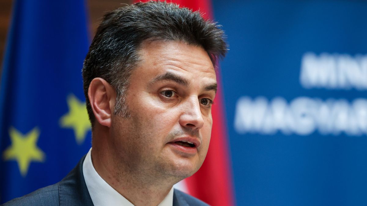 Márki-Zayék most két kézzel kapnának az egyszer már elszalasztott állami lehetőségek után