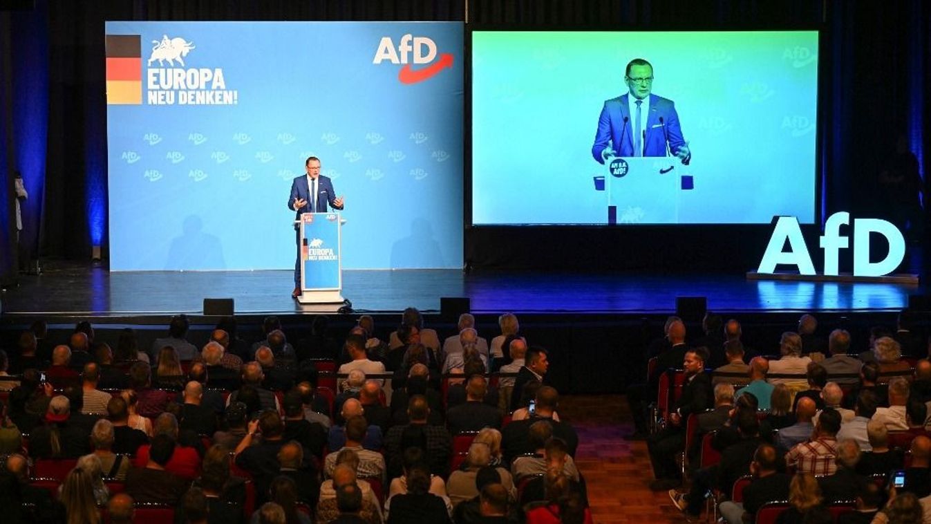 AfD European election campaign