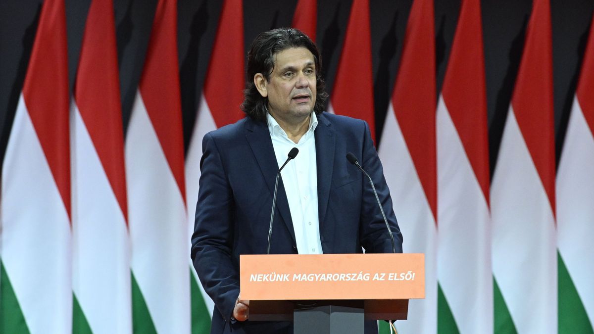 Fidesz MEP: Draining the Swamp of Corruption One Step Toward Effecting Change in Brussels
