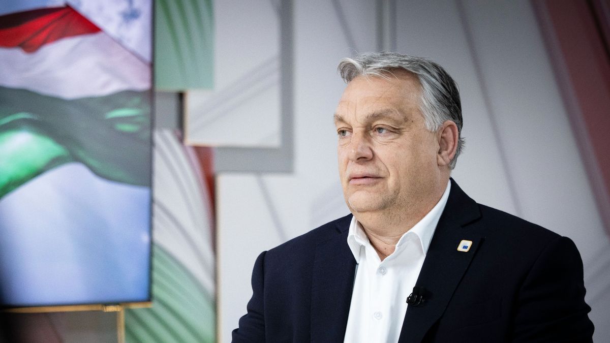 Földrengés New Yorkban, így hálózza be a CIA az újságírókat, Orbán Viktor pedig egyértelmű üzenetet küldött Brüsszelnek! – ezek a hét videói
