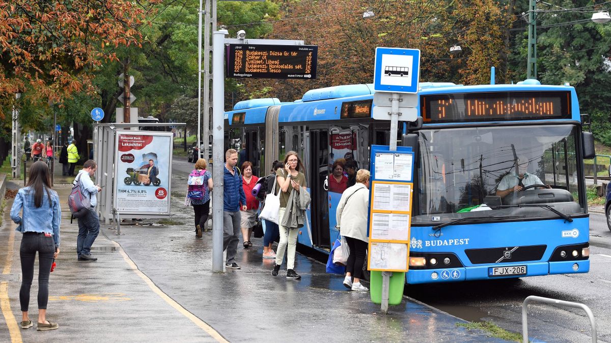 Vigyázzon! A BKK járatain is terjedhet az ágyi poloska