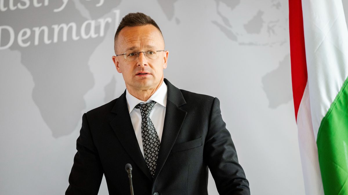 Hungary FM Hits Back At Critics of Hungary's Democracy +Video