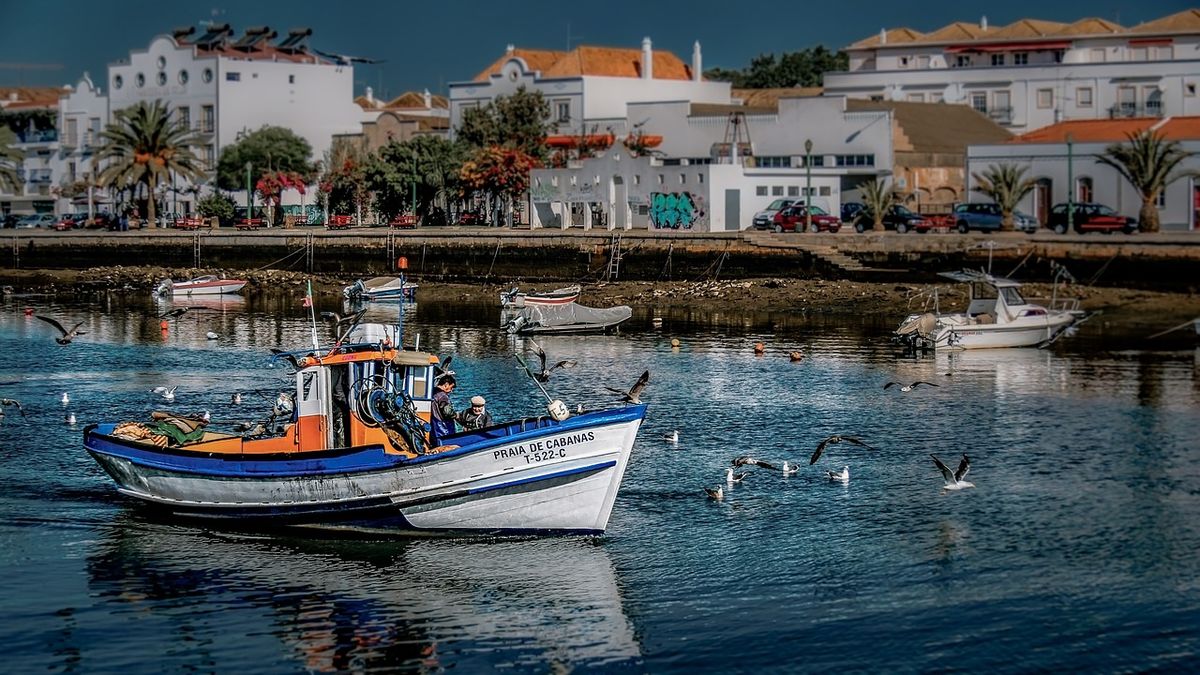 Így színezte át Portugália legszebb régióját a jobboldali párt