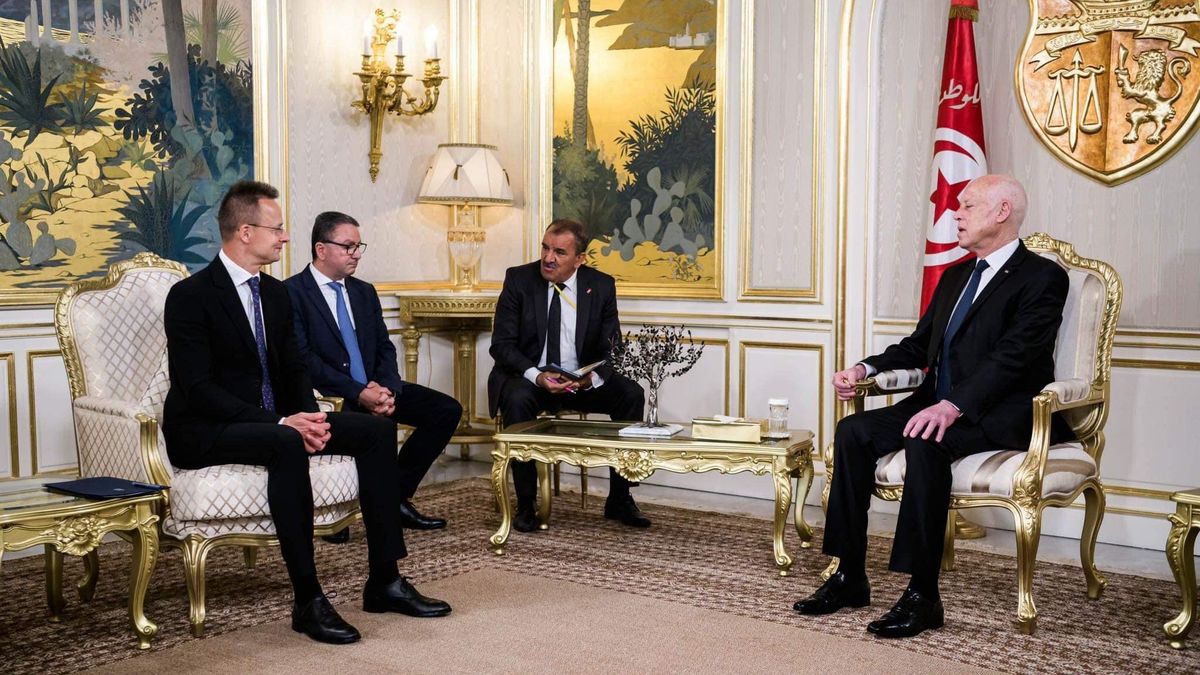 Hungary FM: Brussels Should Finance Enhancement of Coast Guards in North Africa Instead of Migrant-Transporting NGOs
