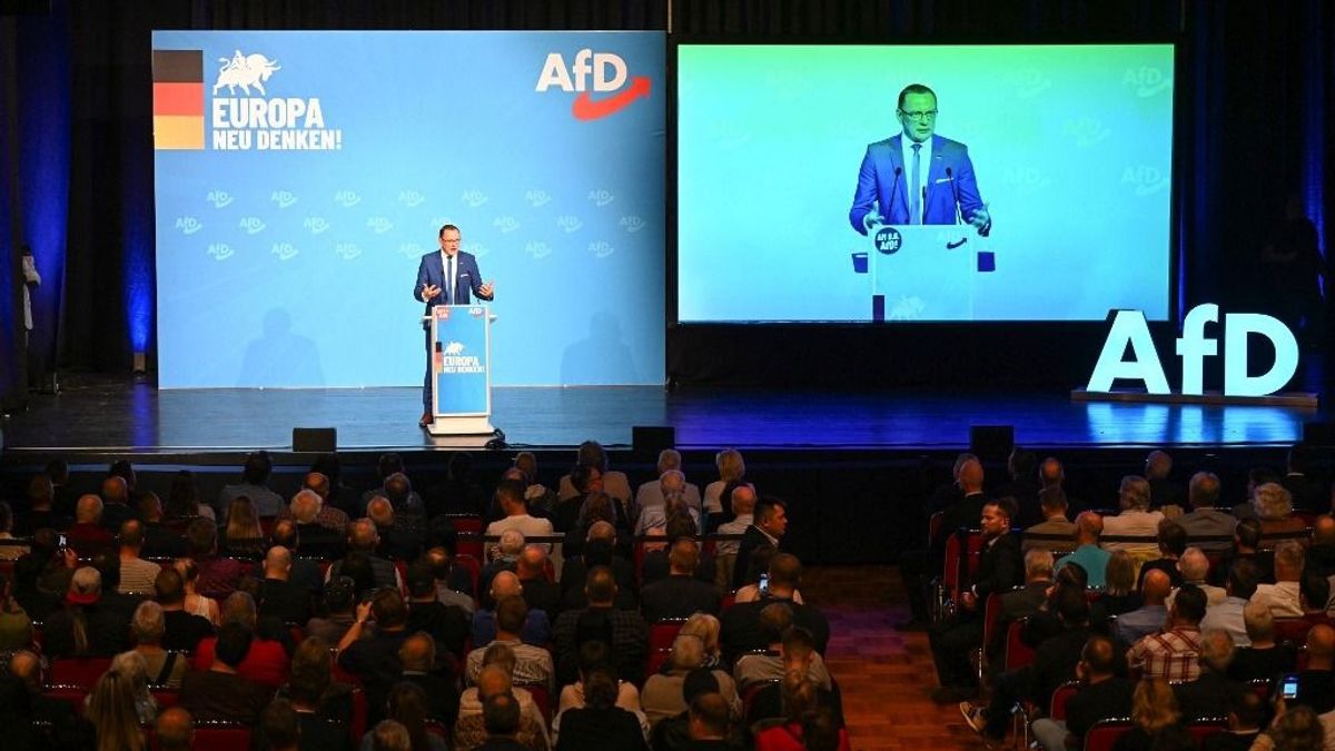 A német AfD berúgta a kampánymotort