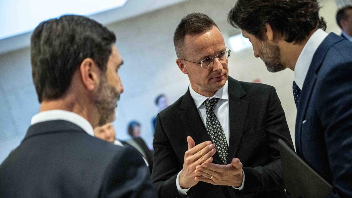 Hungary FM: Witch Hunt Against Hungarian Companies Ongoing in Ukraine