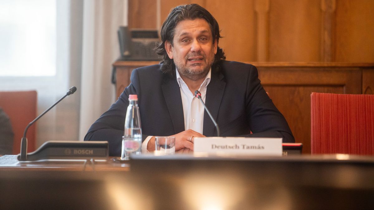 MEP Talks About Brussels's Botched Policies + Video