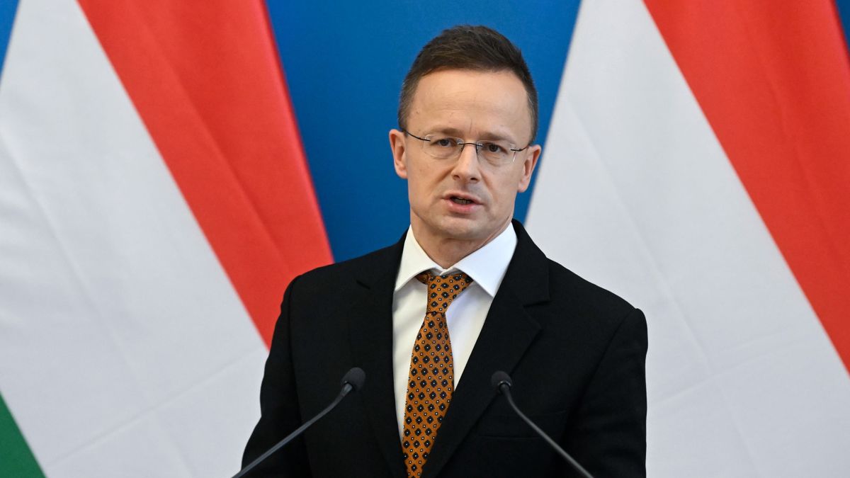 Hungary FM: Steps Taken Bolster Mutual Trust Between Hungary and Ukraine