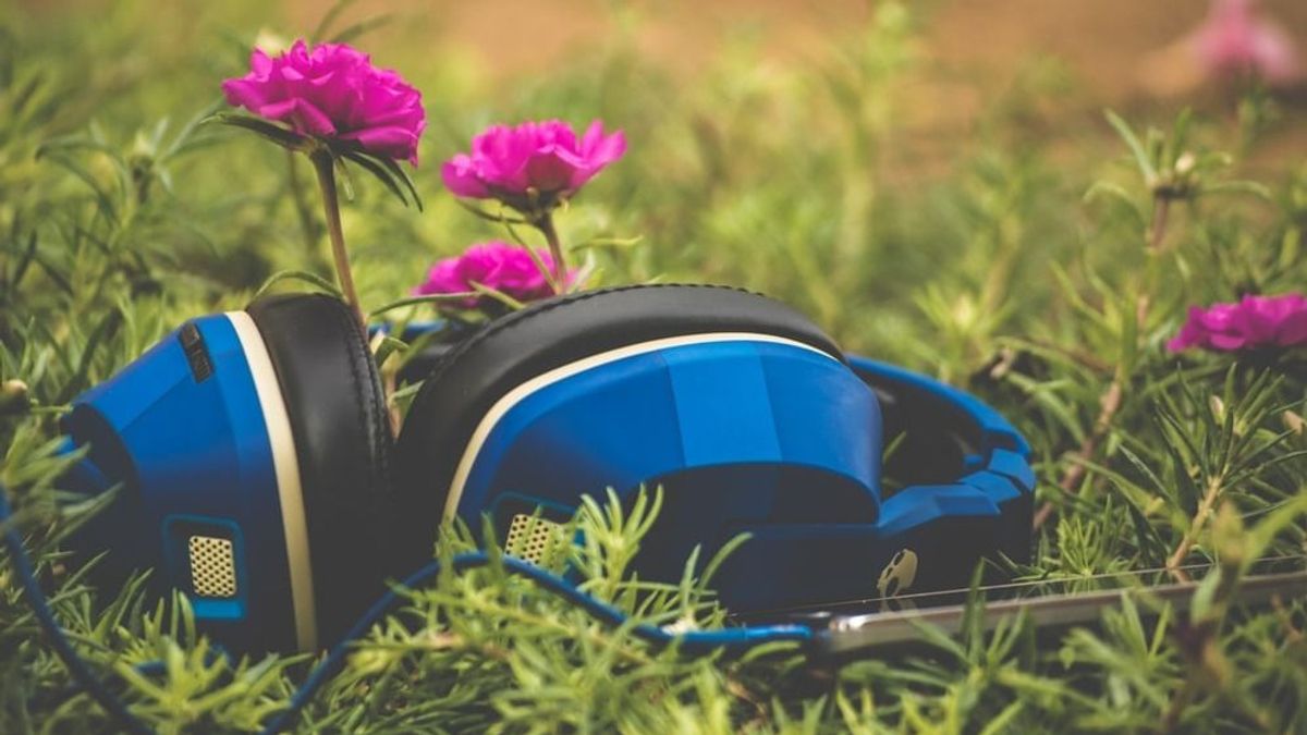 Nem semmi lejátszási listát hozott létre a Spotify