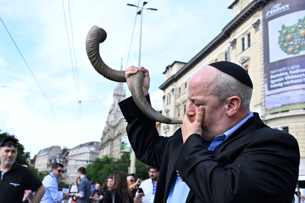 LAKATOS Péter; VERÕ Tamás