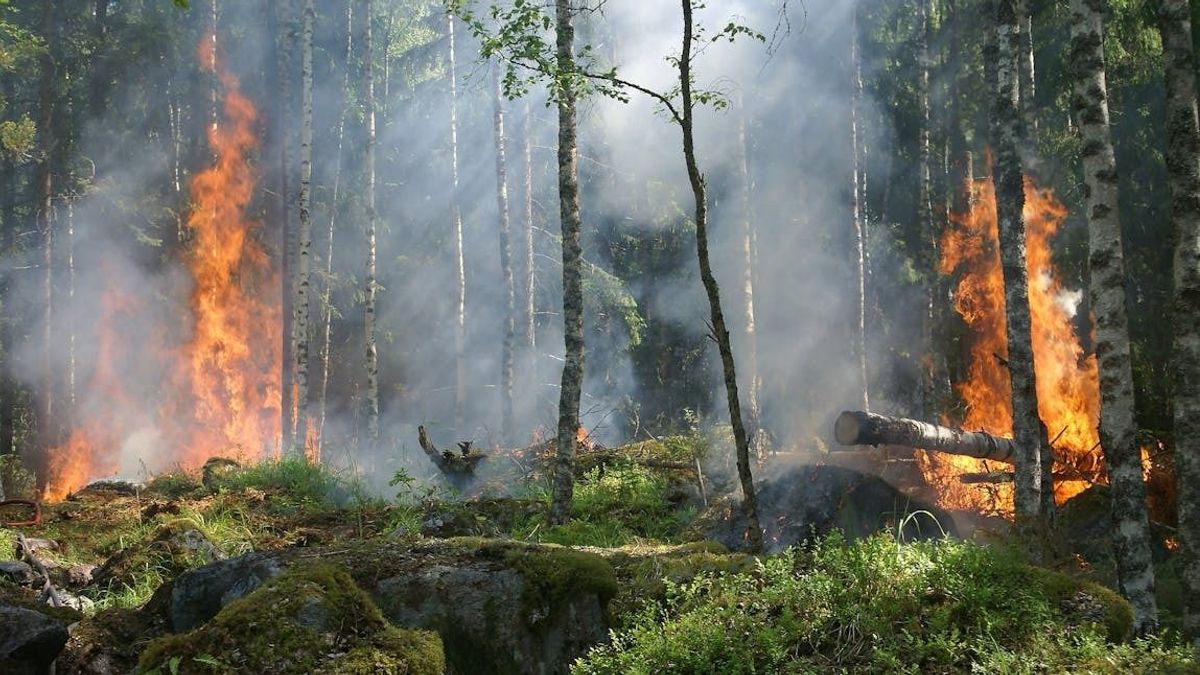 Az oroszok a Krímet fenyegető veszélyre figyelmeztettek